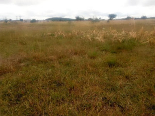 Plot For Sale in Kafue West