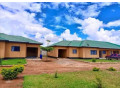 2-bedroom-flat-for-rent-in-libala-south-small-4