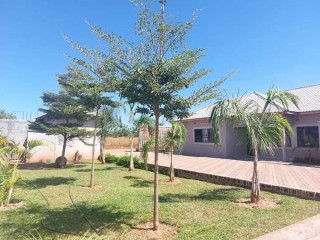 3 Bedroom Flat For Rent In Chalala