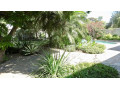 beautiful-property-with-swimming-pool-and-stunning-garden-small-2