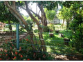3-bedroomed-house-for-rent-in-kabulonga-small-8