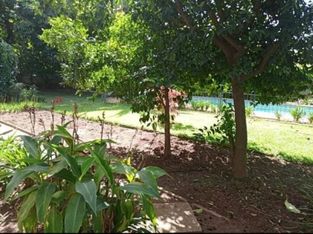 3-bedroomed-house-for-rent-in-kabulonga-big-3