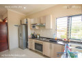 2-bed-2-bath-furnished-apartment-for-rent-in-kabulonga-small-2