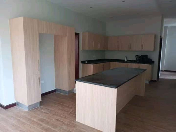 luxurious-eureka-park-apartments-in-liyali-big-4