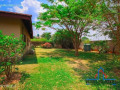 3-bed-35-bath-villa-for-rent-in-woodlands-small-9