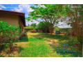 3-bed-35-bath-villa-for-rent-in-woodlands-small-9