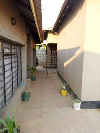 1-bedroom-flat-for-rent-in-chamba-valley-big-3