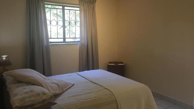 1-bedroom-furnished-apartment-for-rent-in-chudleigh-big-9