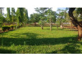 5-bedroom-house-for-rent-in-new-kasama-small-5