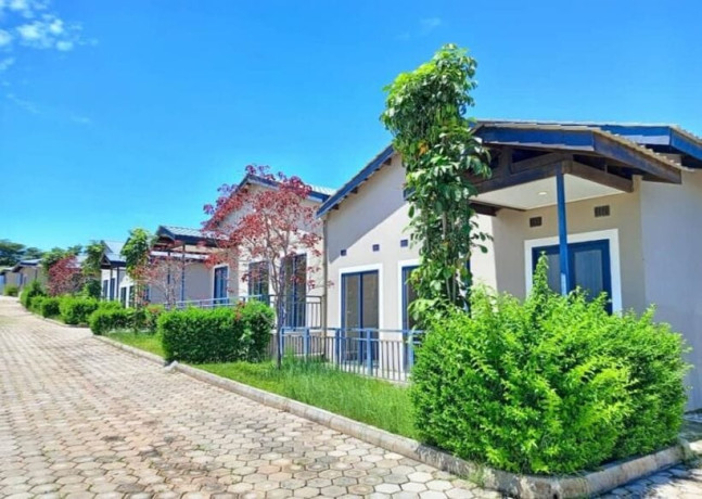 3-bedroom-flats-for-rent-in-ibex-hill-big-6