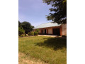 4-bedroom-for-rent-in-ibex-hill-small-8