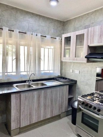 4-3-bedroom-fully-furnished-apartments-for-rent-in-state-lodge-big-1