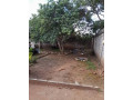 2-bedroom-stand-alone-for-rent-as-offices-small-1