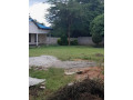 3-bedroom-stand-alone-in-woodlands-small-8