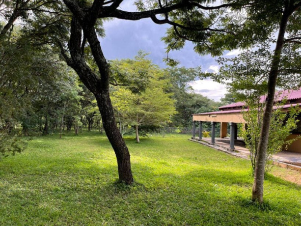 4-bedroom-furnished-for-rent-in-leopards-hill-big-2