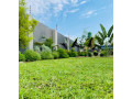 2-and-3-bedroom-fully-furnished-apartments-for-rent-in-roma-small-3