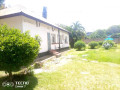 3-bedroom-house-for-rent-in-rhodes-park-small-1