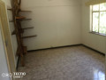 3-bedroom-house-for-rent-in-rhodes-park-small-6