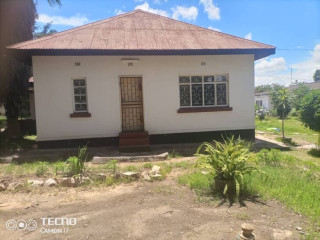 3 Bedroom House For Rent in Rhodes Park