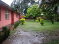 4-bedroom-house-for-rent-in-avondale-small-6