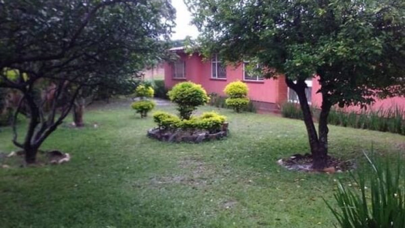 4-bedroom-house-for-rent-in-avondale-big-7