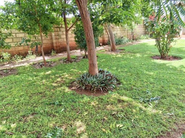 3-bedroom-stand-alone-for-rent-in-new-kasama-big-4
