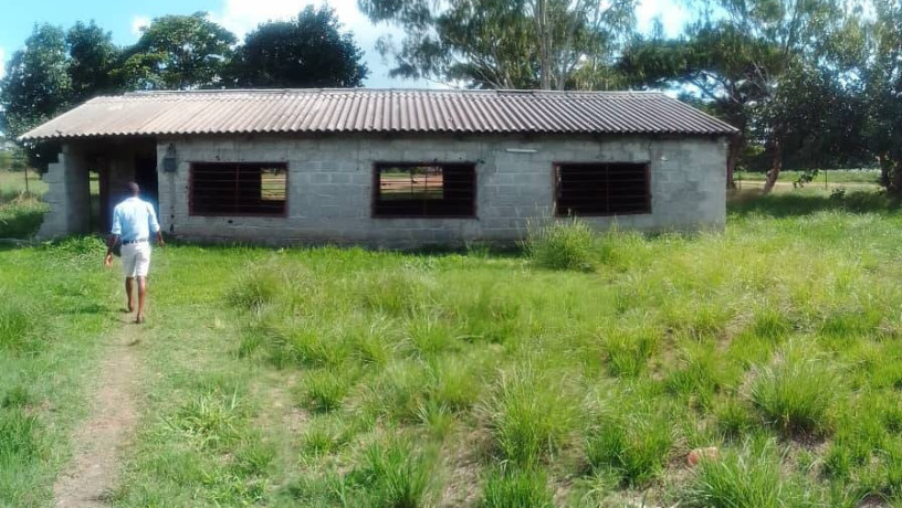 3-bedroom-farm-house-for-rent-in-kalundu-big-4