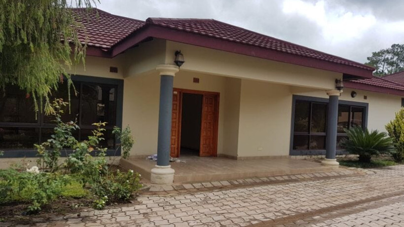 3-bedroom-house-for-rent-in-riverside-big-6