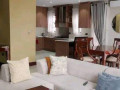 2-4-bedroom-fully-furnished-duplexs-for-rent-in-roma-park-small-5