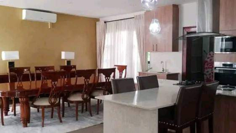 2-4-bedroom-fully-furnished-duplexs-for-rent-in-roma-park-big-1