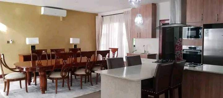 2-4-bedroom-fully-furnished-duplexs-for-rent-in-roma-park-big-1