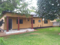 3-bedroom-house-for-rent-in-makeni-buckley-small-3