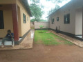 3-bedroom-house-for-rent-in-makeni-buckley-small-5