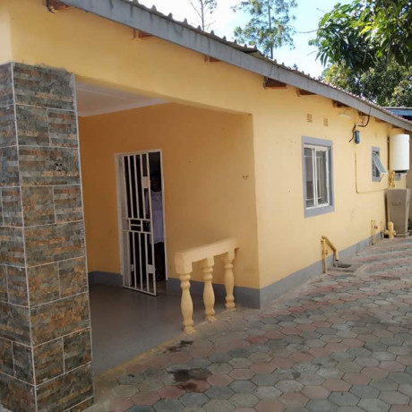 2-bedroom-house-for-rent-in-makeni-big-0
