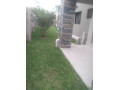 3-bedroom-house-for-rent-in-silverest-small-2