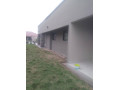 3-bedroom-house-for-rent-in-silverest-small-5