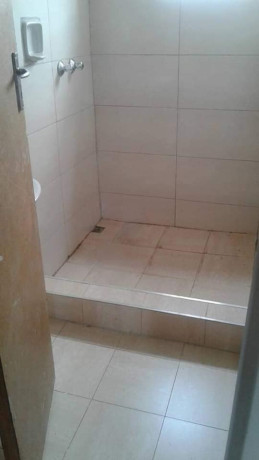 2-bedroom-semi-detached-flats-for-rent-in-lilayi-mimosa-area-big-3