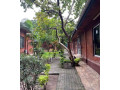commercial-building-for-sale-in-olympia-small-0