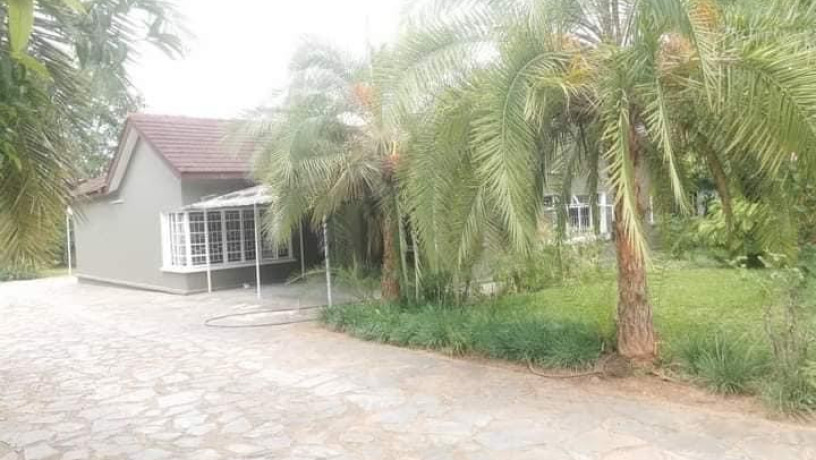 4-bedroom-house-for-rent-in-longacres-big-4