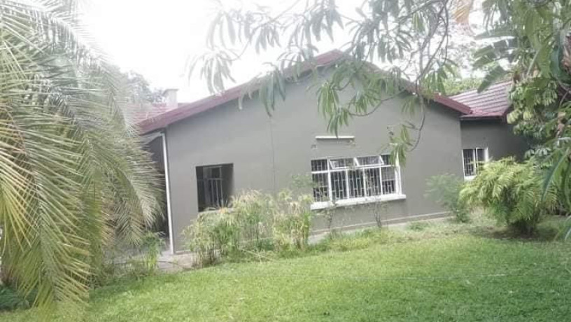 4-bedroom-house-for-rent-in-longacres-big-3