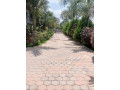 4-bedroom-apartment-for-rent-in-ibex-meanwood-small-4