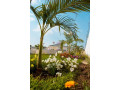 3-bedroom-house-for-rent-in-ibex-hill-small-8
