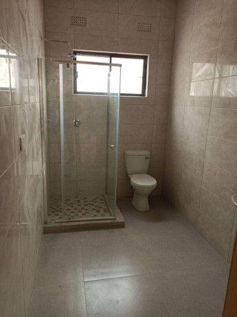 2-bedroom-flat-for-rent-in-makeni-big-5