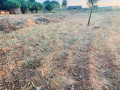 1-acre-plot-for-sale-in-ibex-hill-small-1