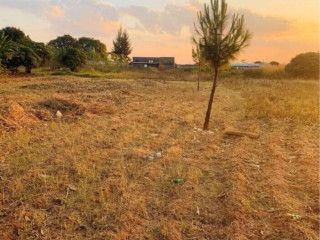 1 Acre Plot For Sale In Ibex Hill