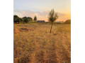 1-acre-plot-for-sale-in-ibex-hill-small-0