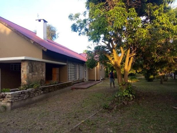 house-for-rent-along-dingani-road-big-2