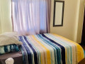 1-bedroom-furnished-apartment-for-rent-in-kabulonga-small-4