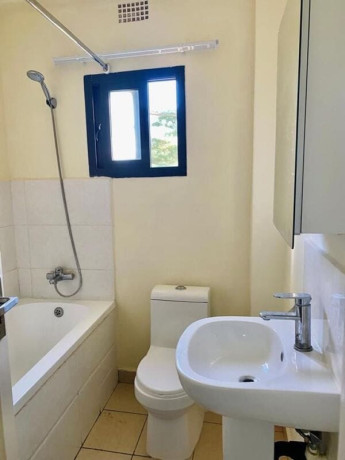 1-bedroom-furnished-apartment-for-rent-in-kabulonga-big-5