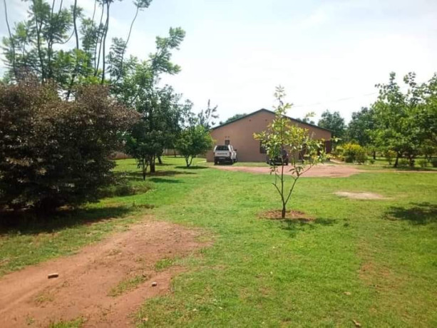 3-bedroom-farm-house-for-rent-in-new-kasama-big-4